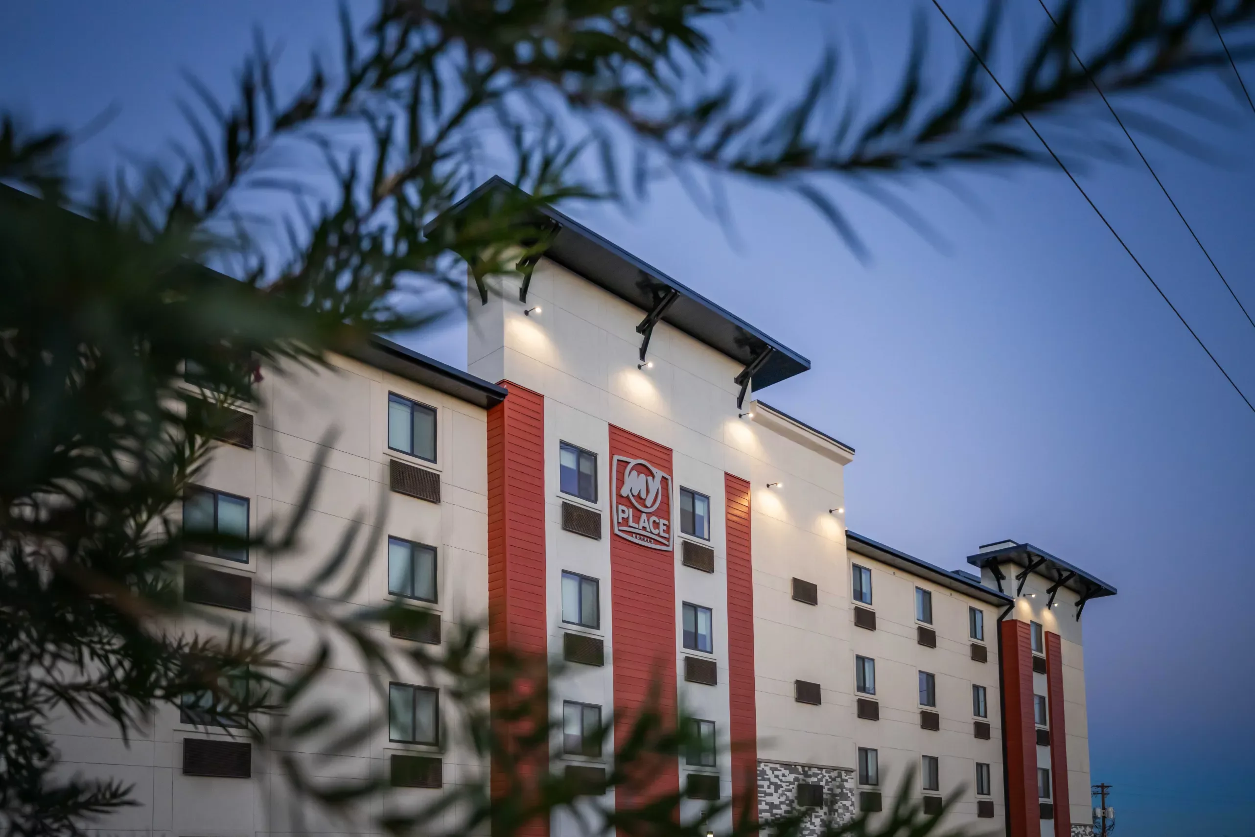 Exterior of a hotel seen through the branches of a tree.