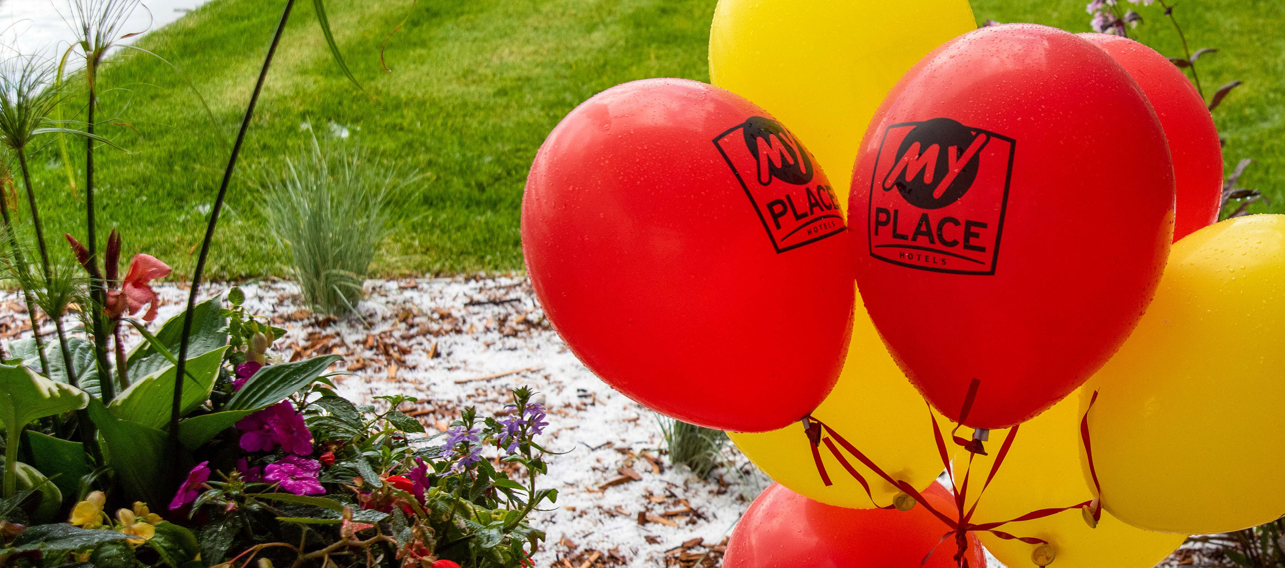 Red and yellow balloons with My Place Hotel logo set next to floral landscaping.