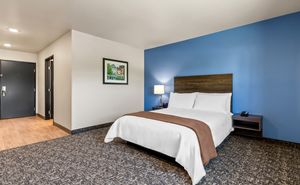 Spacious guest room featuring one king bed with white bedding, a blue accent wall, floating nightstands, a bedside lamp, and wood-look flooring leading from the entryway.