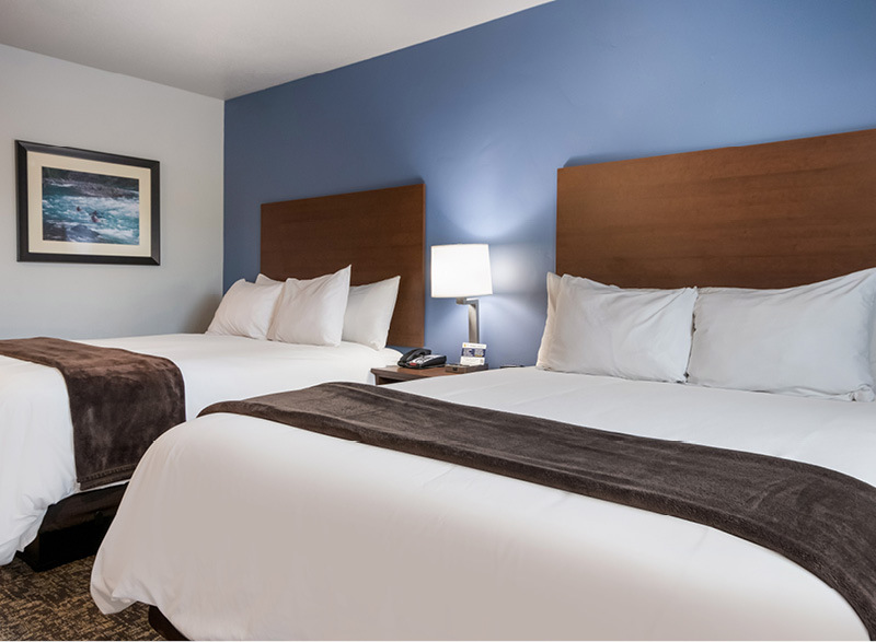 Interior hotel room with two queen beds in front of a blue accent wall.