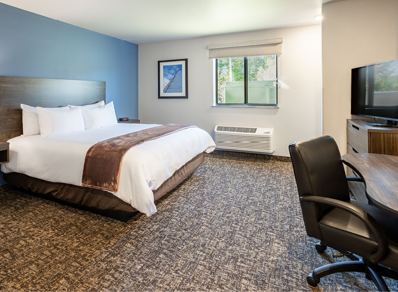 My Place Hotel room featuring one plush bed with rolling desk and chair.