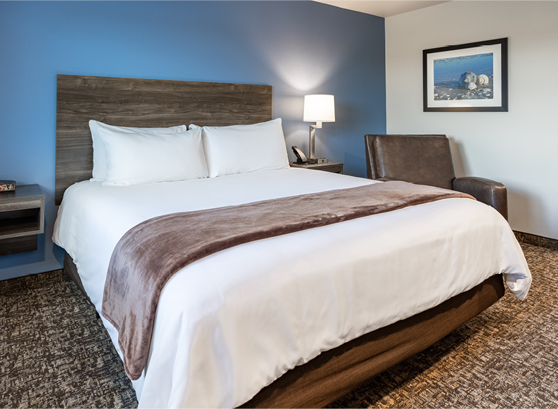 My Place Hotel room featuring one plush bed with a cozy recliner.