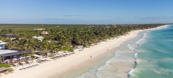 Aerial view of the beach and green trees.