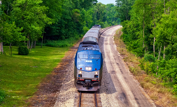 A blue train drives along train tracks surrounded by green grass and trees.