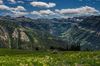 View of large mountains and grass with flowers.
