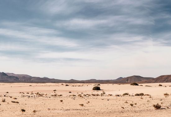 Flat desert landscape with hills in the background.