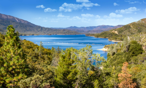 A thin, white dam bisects a blue lake surrounded by a forest of green trees and hills in the background.