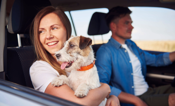 A man drives a vehicle while a woman sits in the passenger seat with a brown and white dog in her lap.