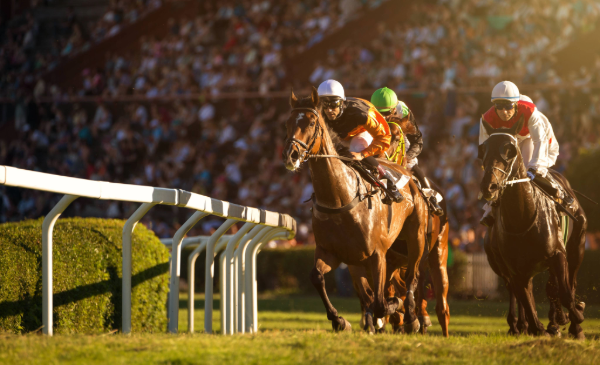 Three jockeys riding horses race around a track in front of a large crowd.