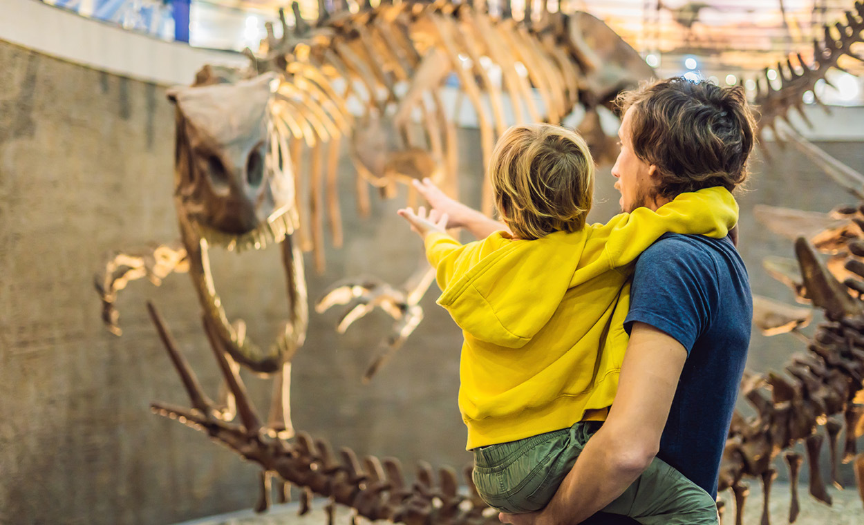 Adult and child looking at a dinosaur skeleton.