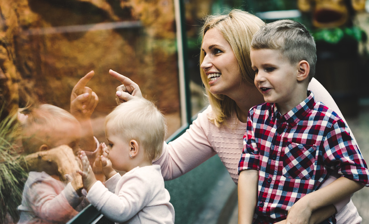 Women with two children looking at an exhibit at a zoo.