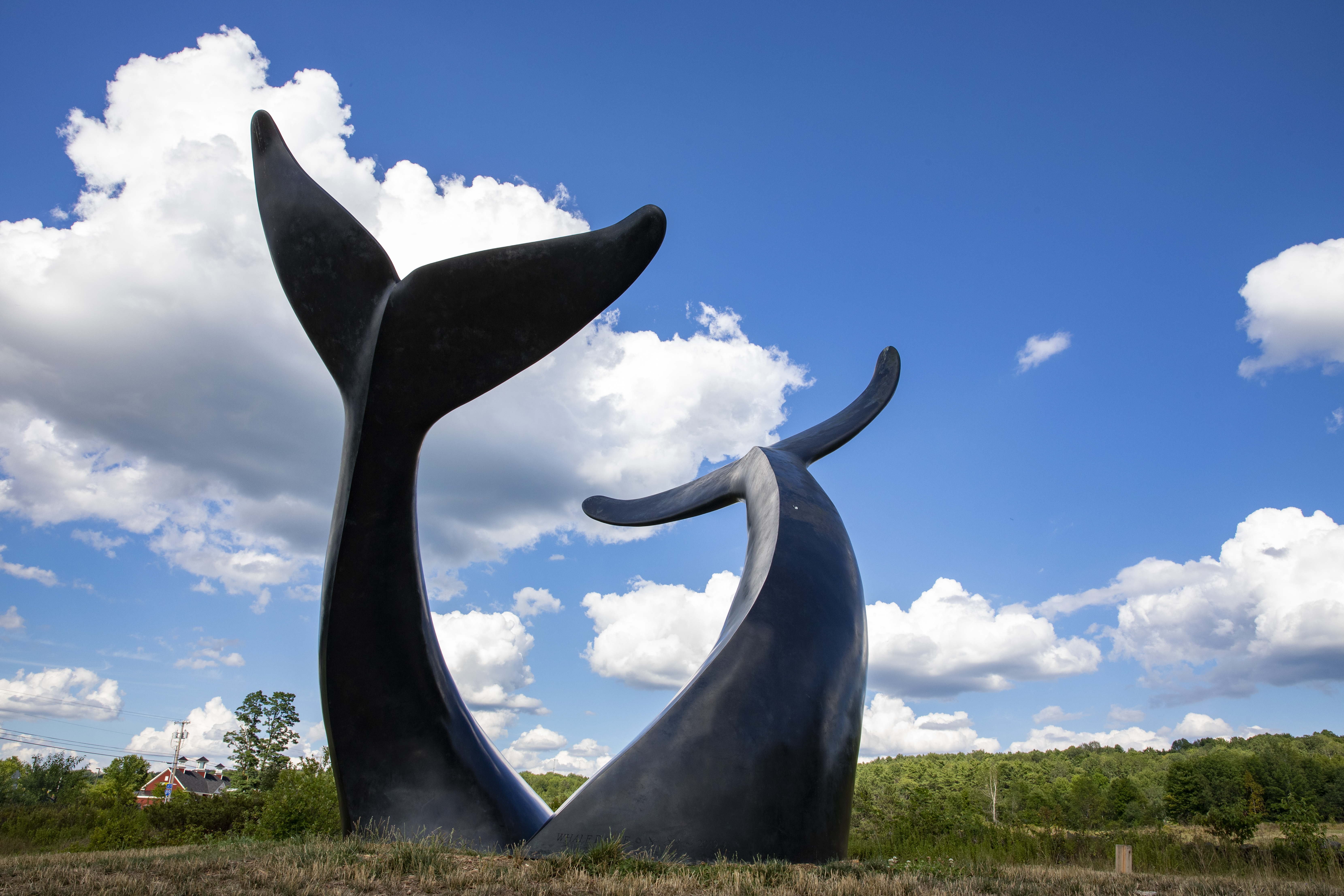 Whale dance monument, which is two stone whale tales coming out of the ground, in Randolph, VT