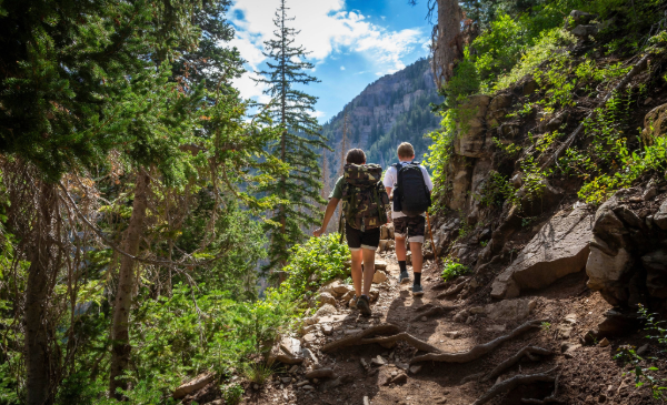 Two people hike between rocks and trees.