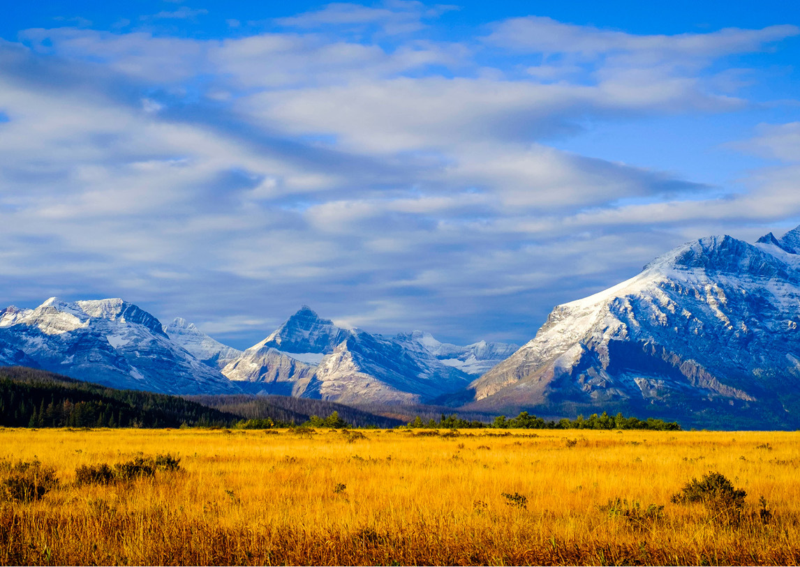 Gold prairie grasses set before large snowcapped mountains under a cloudy sky.