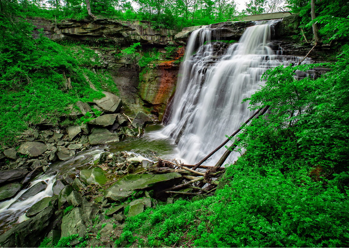 A small waterfall sets between green leaves and bushes in a forest.