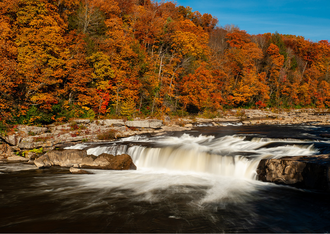 Falls trees line a flowing river with a short, wide waterfall under a blue sky.