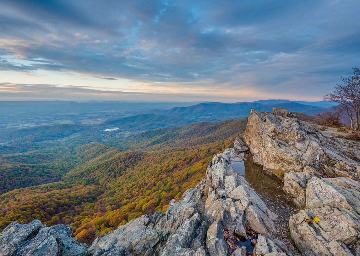 A rocky cliff overlooks a vast forest, complete with valleys and small pools of water.