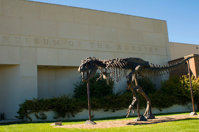 Dinosaur bone statue outside of the museum entrance. On the building behind the dinosaur, etched in are the words "Museum of the Rockies."