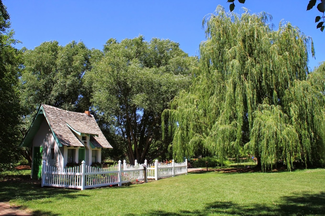 A view of a small garden shed with a fenced in area filled with flowers, a view of a willow tree in front of the shed.