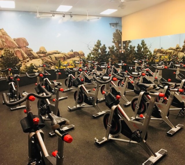A view of a blue and yellow painted room filled with workout bikes, strength and cardio equipment.