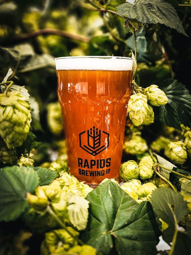 A view of a draft beer surrounded by greenery and hop plants.