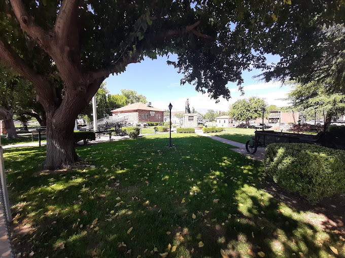 An outside view of a park, a grassy, tree covered area with a building in the background.