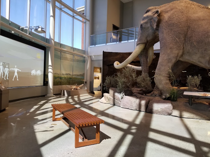 Exhibition with an elephant model on the right, a bench in the middle, and visual projection on the left.