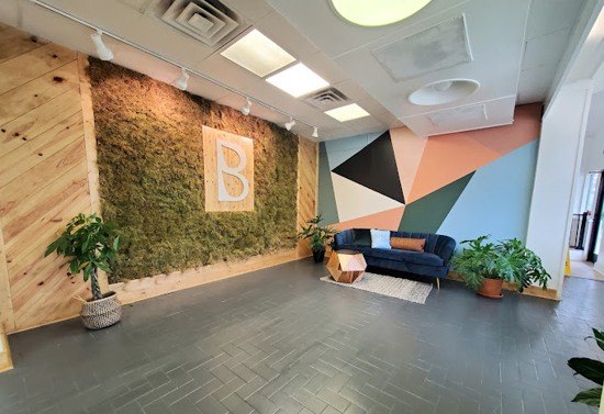 Back wall with a section of grass and the letter "B" in the middle. Adjacent is a colorful accent wall with a sofa. The room features two small potted plants.