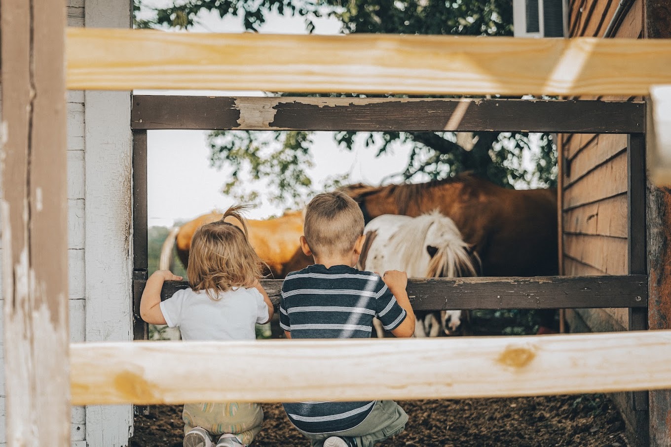 A view of a wooden fence with two kids setting on the ground watching the horses graze in their fenced in pen.