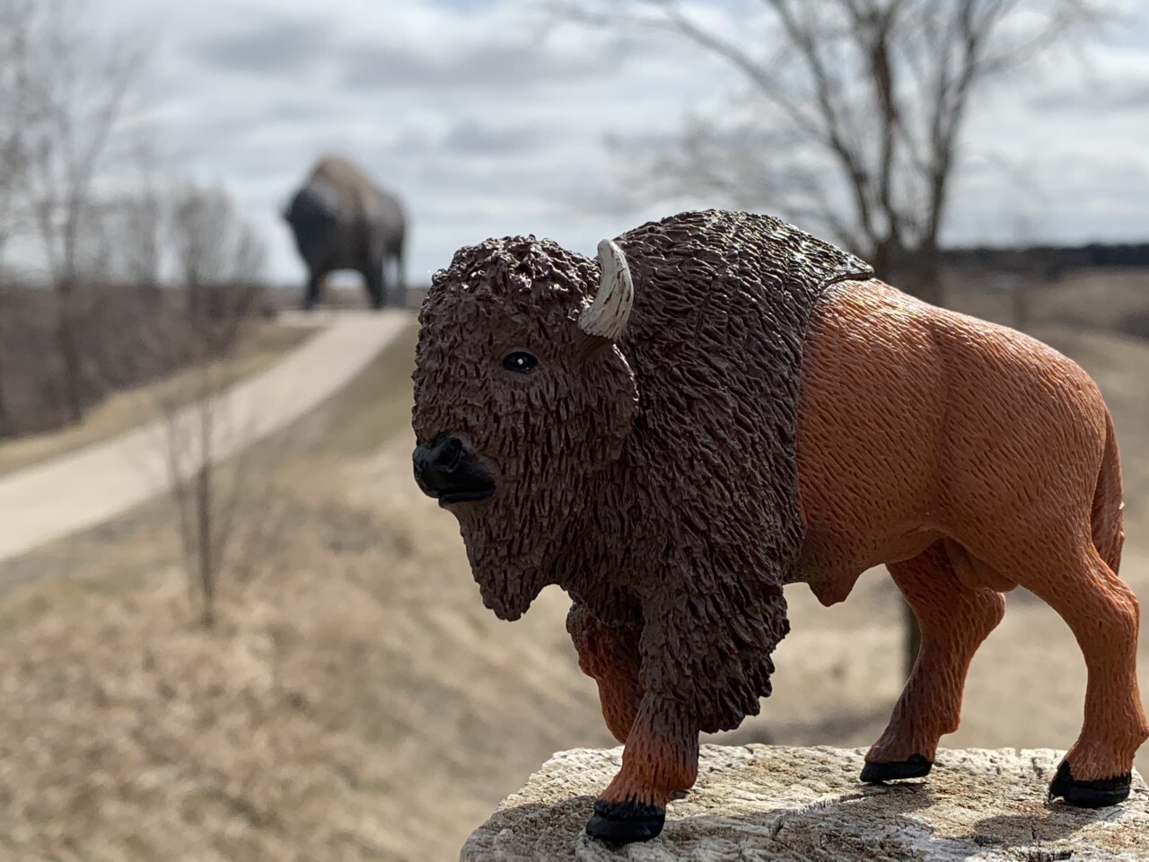 A view of a walking path in the background of a buffalo statue on a concrete pedestal.