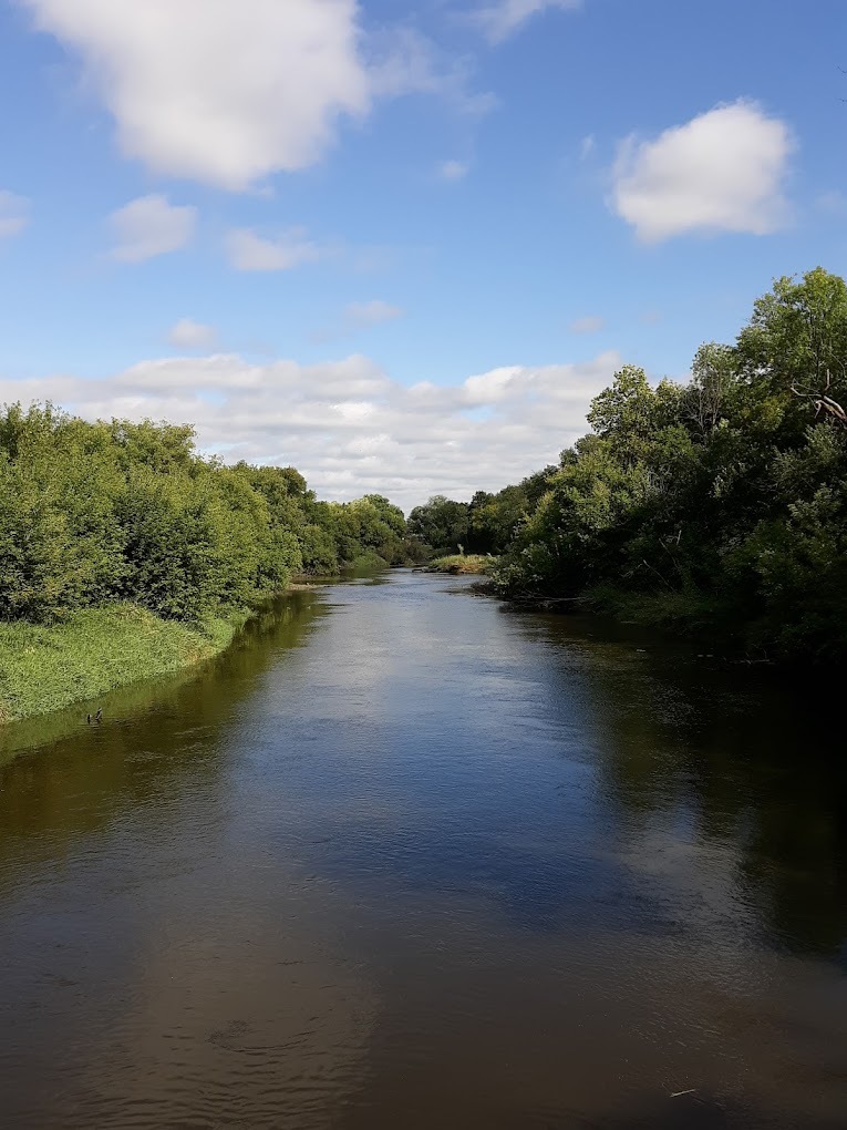 A view of a river, with lots of brush and trees on either side of the water.