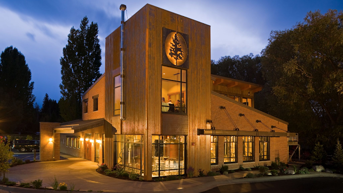 Nighttime exterior corner view of a tall, wooden building with warm lighting. There are numerous glass windows, with a carved and glowing tree logo above one window. The building is surrounded by tall, green trees.
