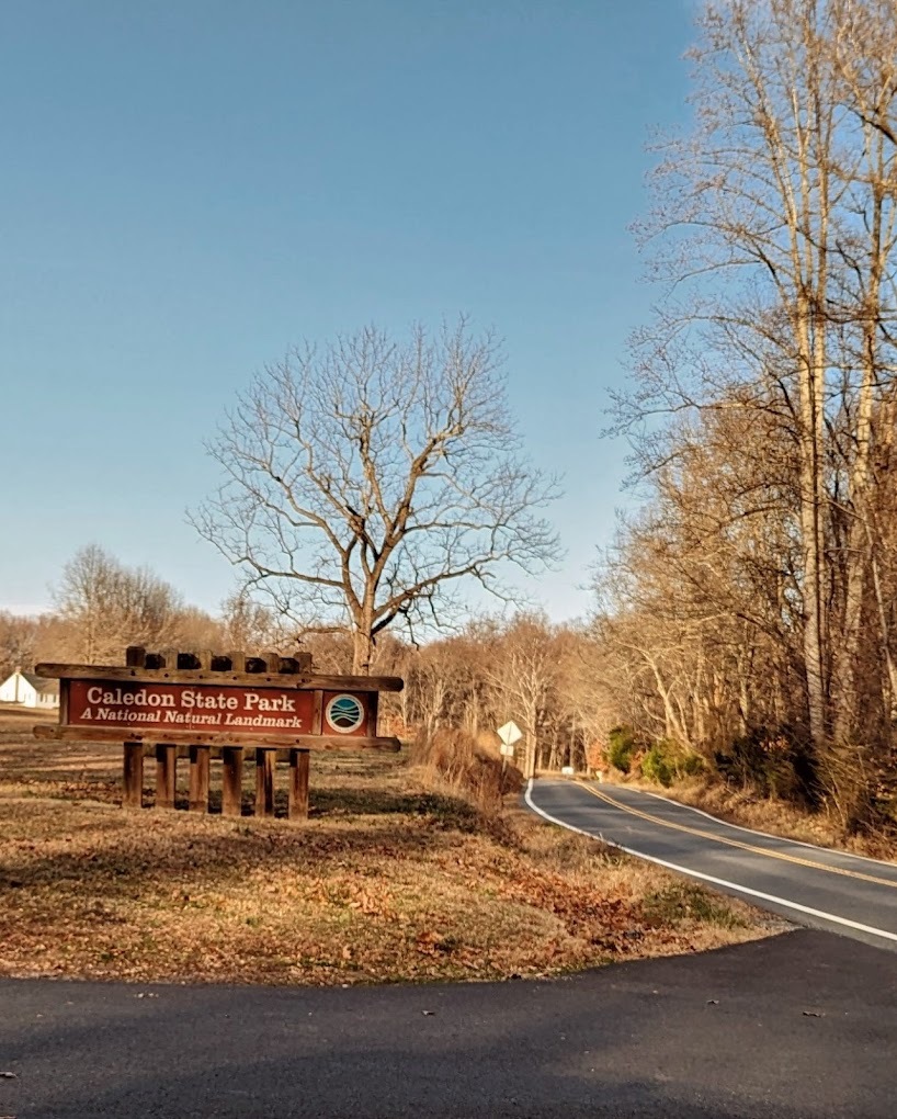 A view of a large brown wooden sign to the entrance of a state park.