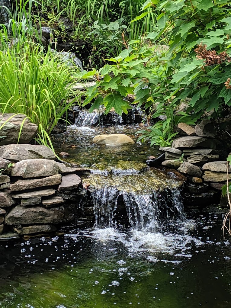 A view of a small rock waterfall, surrounded by greenery.