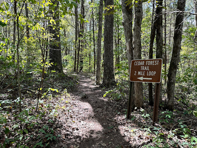 An view of a wooded area with a dirt path and a sign pointing towards the hiking path.