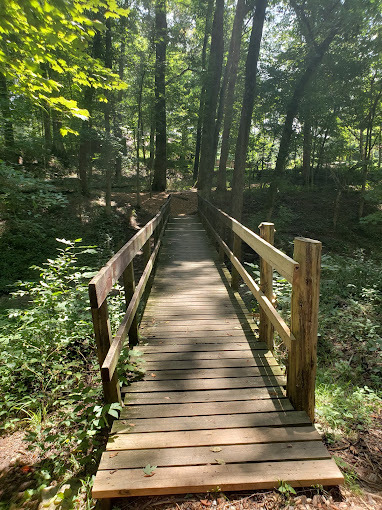 An view of a bridge over a wooded area, lots of lush greenery surround the bridge.