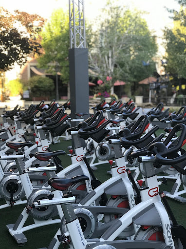 Stationary cycling equipment set up in rows outside.