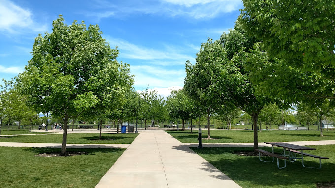 Outdoor park with symmetrical sidewalk paths and large green trees.