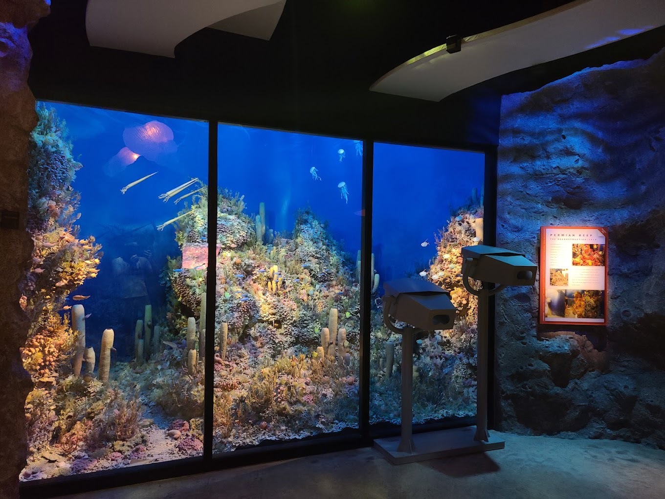 A view of a aquarium, the glass is right within a faux rock wall making the tank look like it broke through the wall.