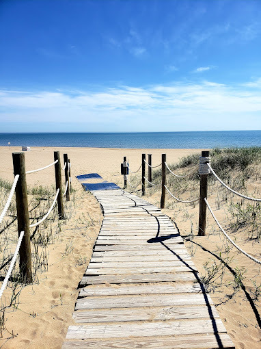 A view of a wooden walking path leading from the tall grass, into a sandy area leading to a beach.