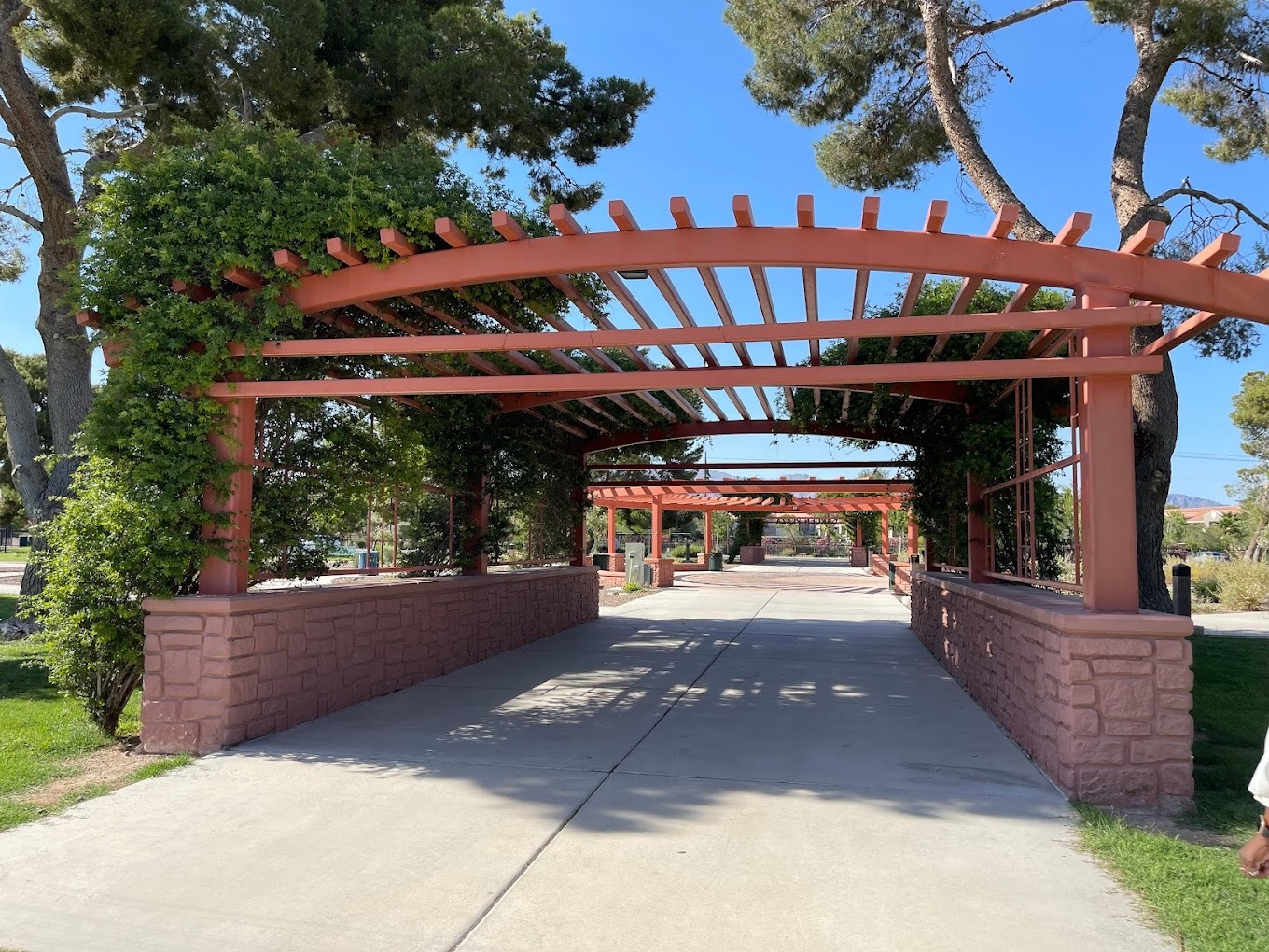 A landscape view of a walkway covered by a trellis like structure over the top of the walkway.