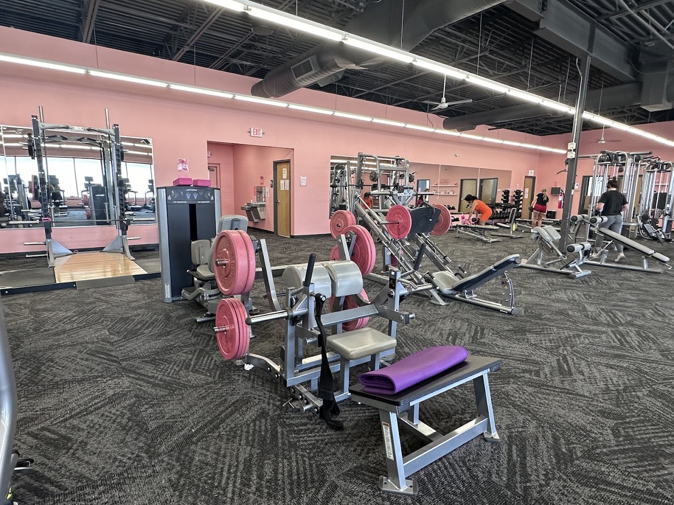 A large workout area with pink walls and many kinds of lifting equipment, which all have pink accenting.