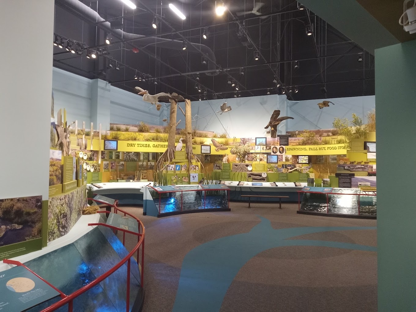 An inside view of a large museum exhibit of animals, light up and signs are posted around all of the animals.