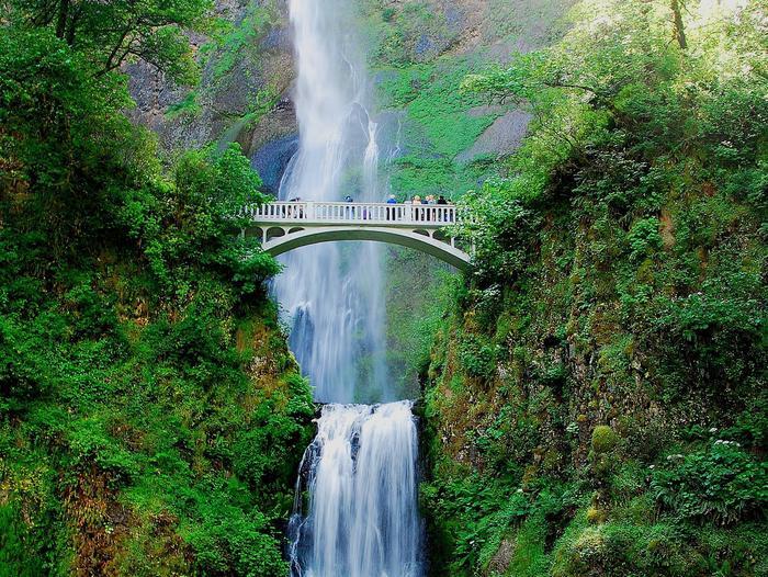 Green forest area with a small waterfall flowing through the middle. There are two hills on either side of it, and a white bridge built across the center of the falls.