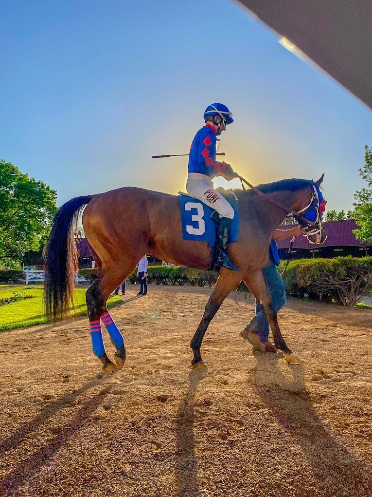 A view of a racer on his horse on the horse racing track with the sun peeking behind the rider and horse.